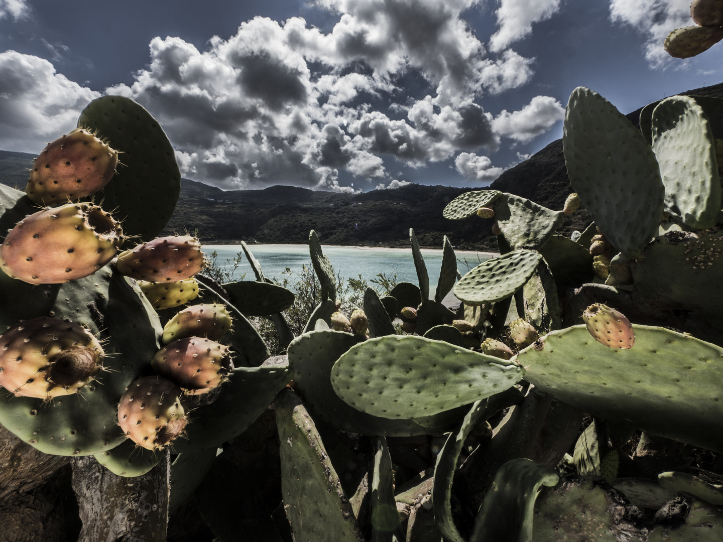 Lago di Venere. Per Lucy