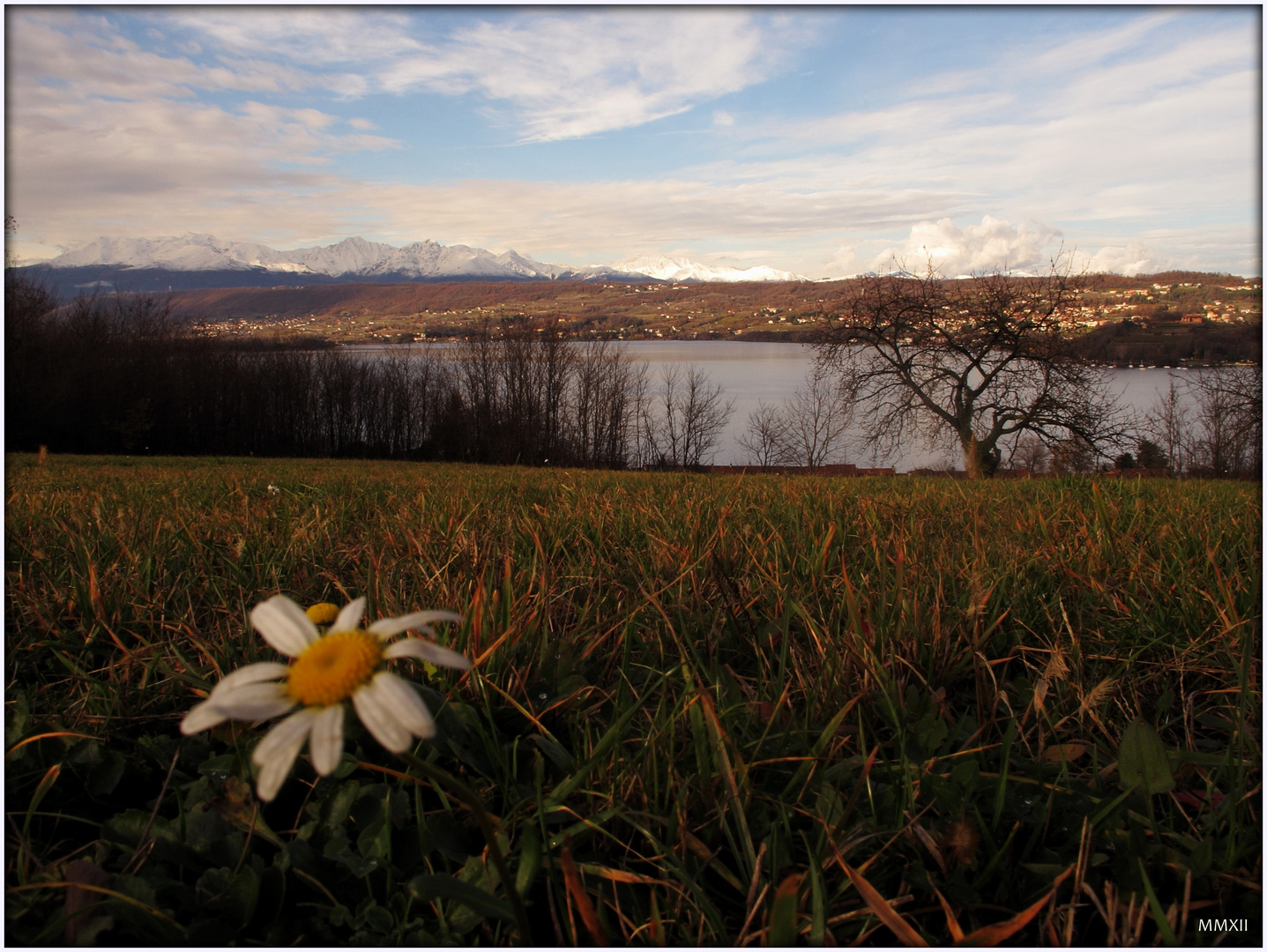 Lago di Viverone al tramonto