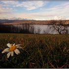 Lago di Viverone al tramonto