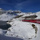 Lago die Bianco  Bernina