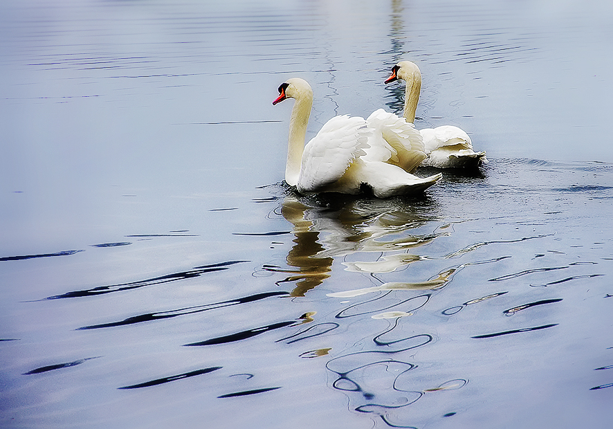 LAGO D'INVERNO #3