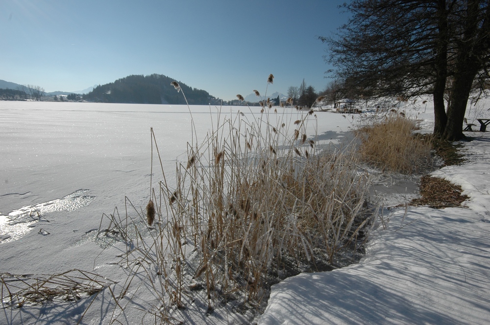 Lago d'inverno