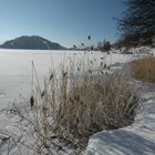 Lago d'inverno