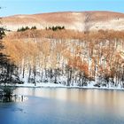 Lago d'inverno