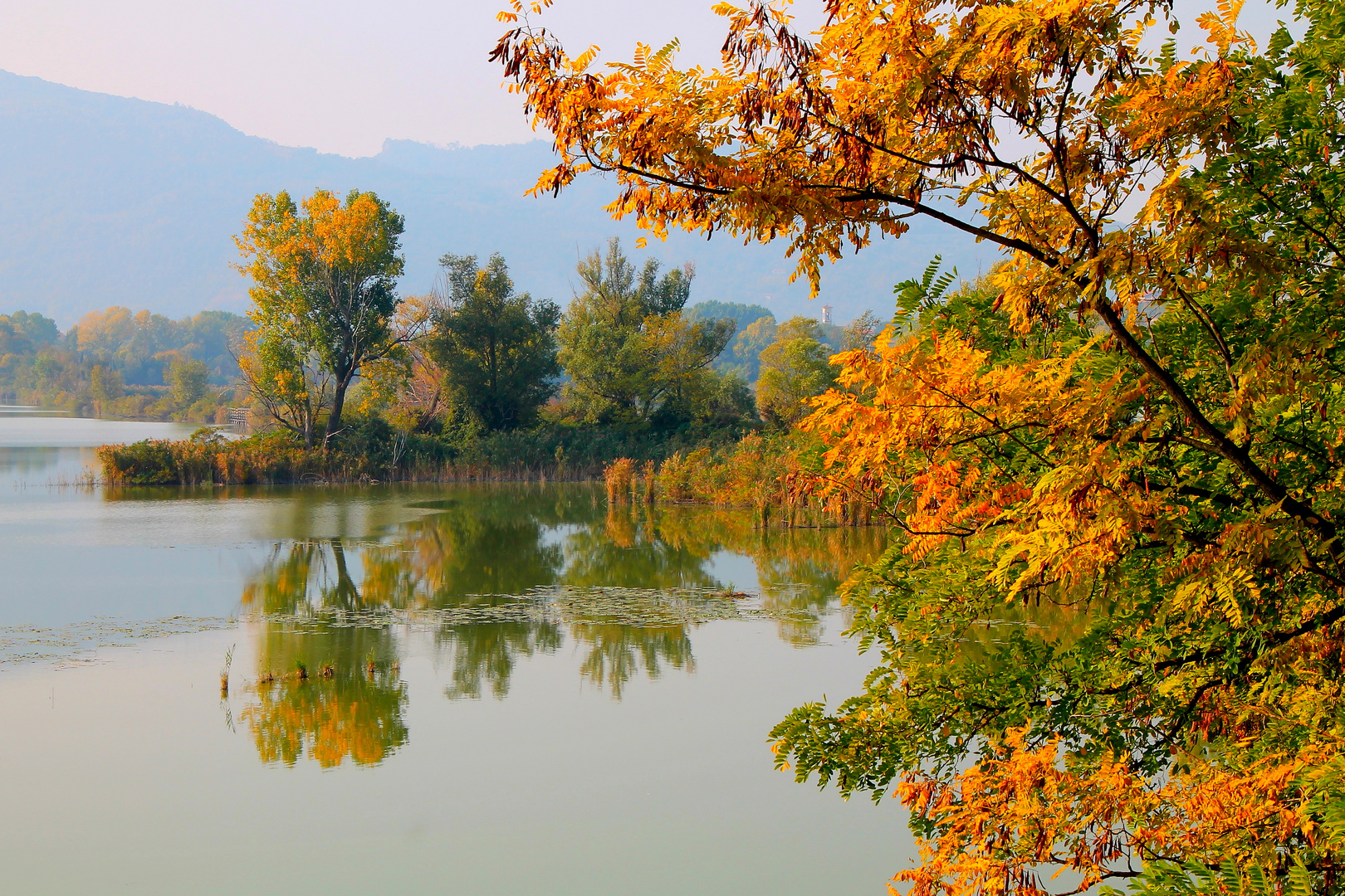 Lago d'Iseo-Torbiere del Sebino