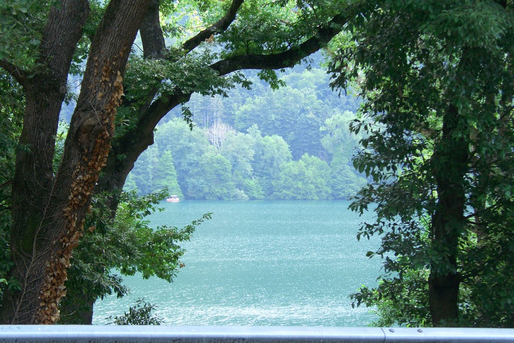 Lago emoldurado por árvores