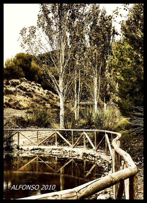 lago en otoño