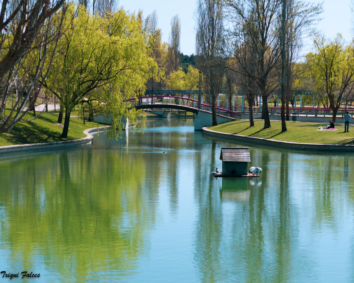 lago en primavera Ii