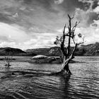 Lago en San Martín de los Andes