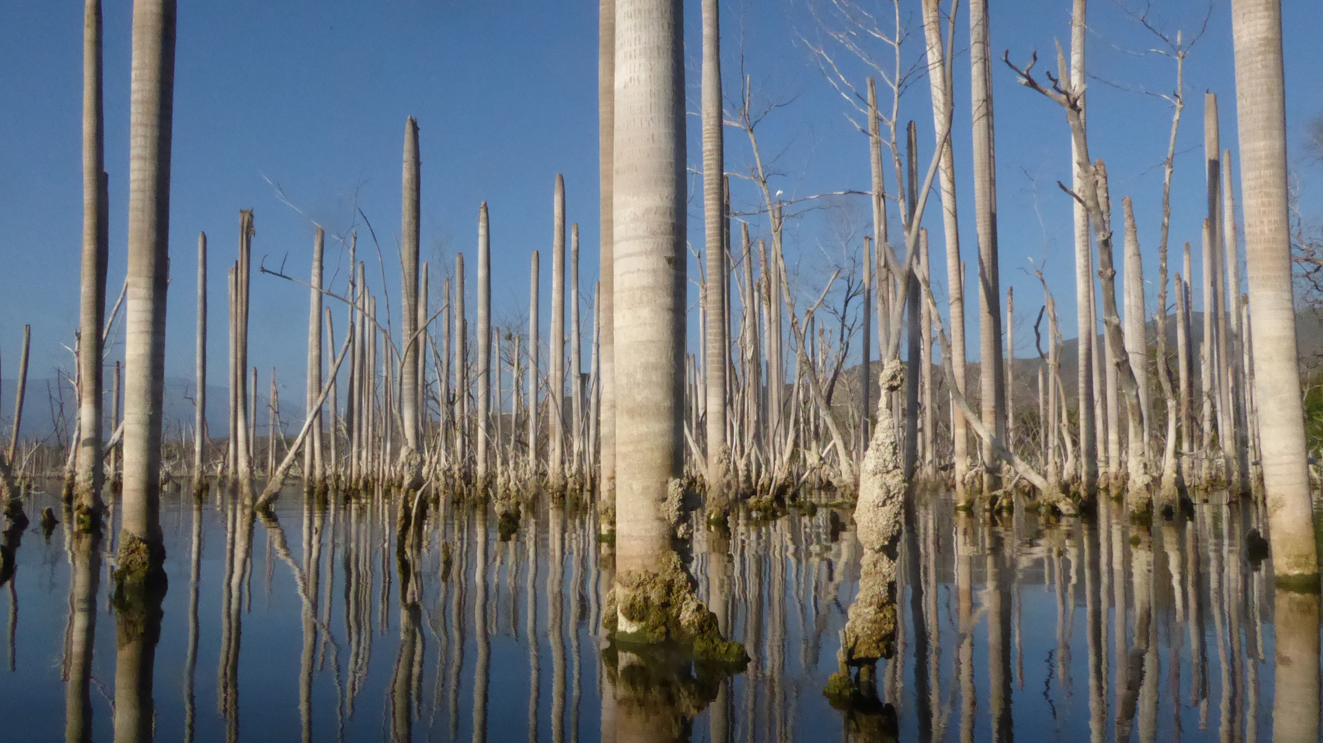 Lago Enricillo