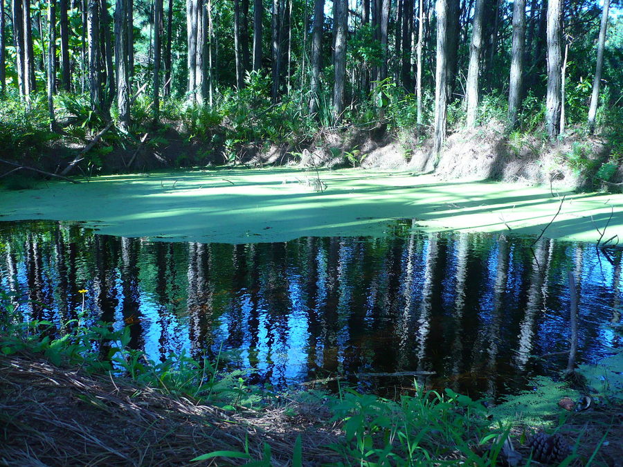 Lago Fantástico I