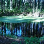 Lago Fantástico I