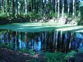 ES: Lago Fantástico I von Sonia Abreu Parizotto 