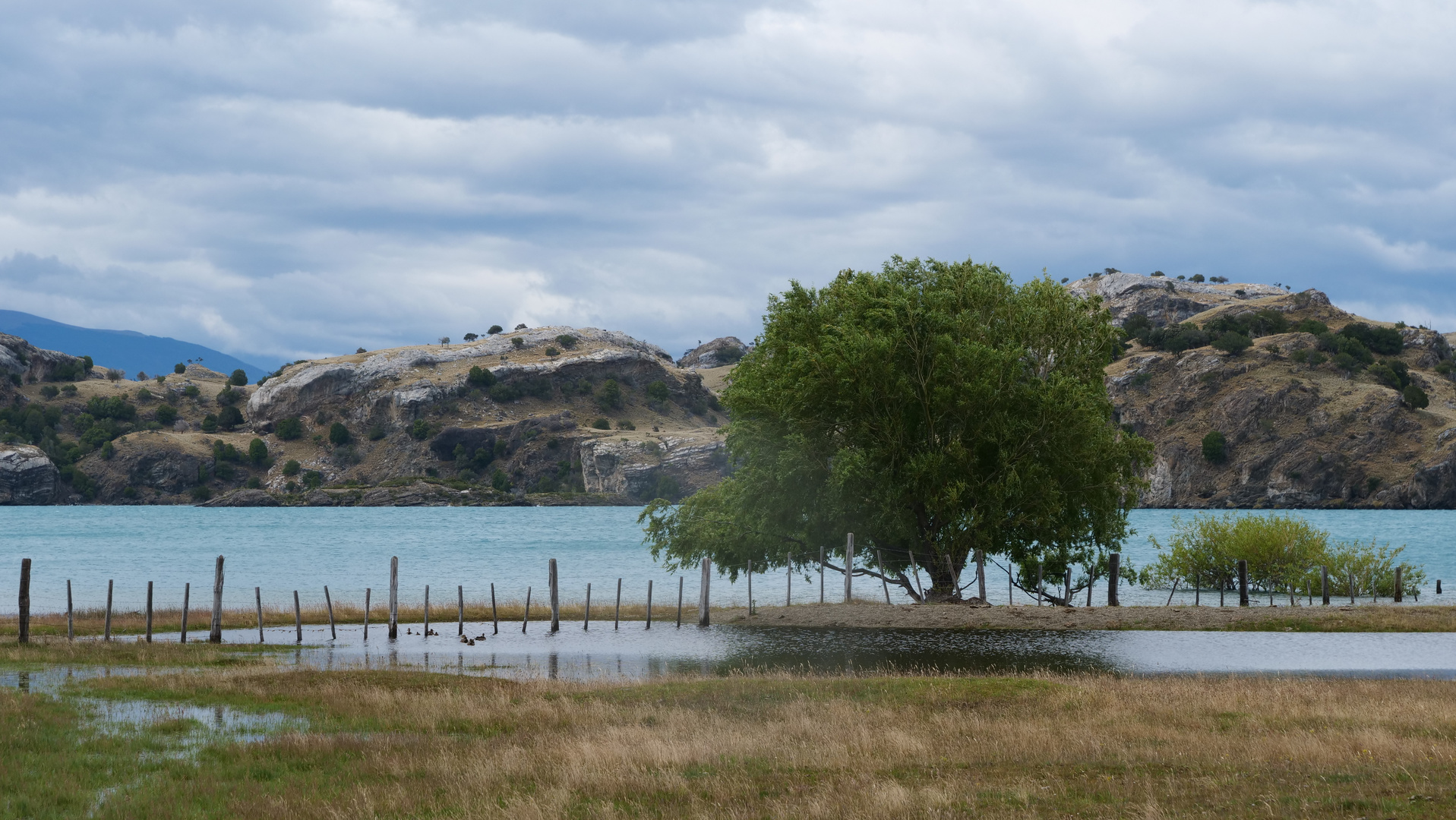 Lago General Carrera 