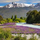 Lago General Carrera 3