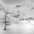 Lago ghiacciato