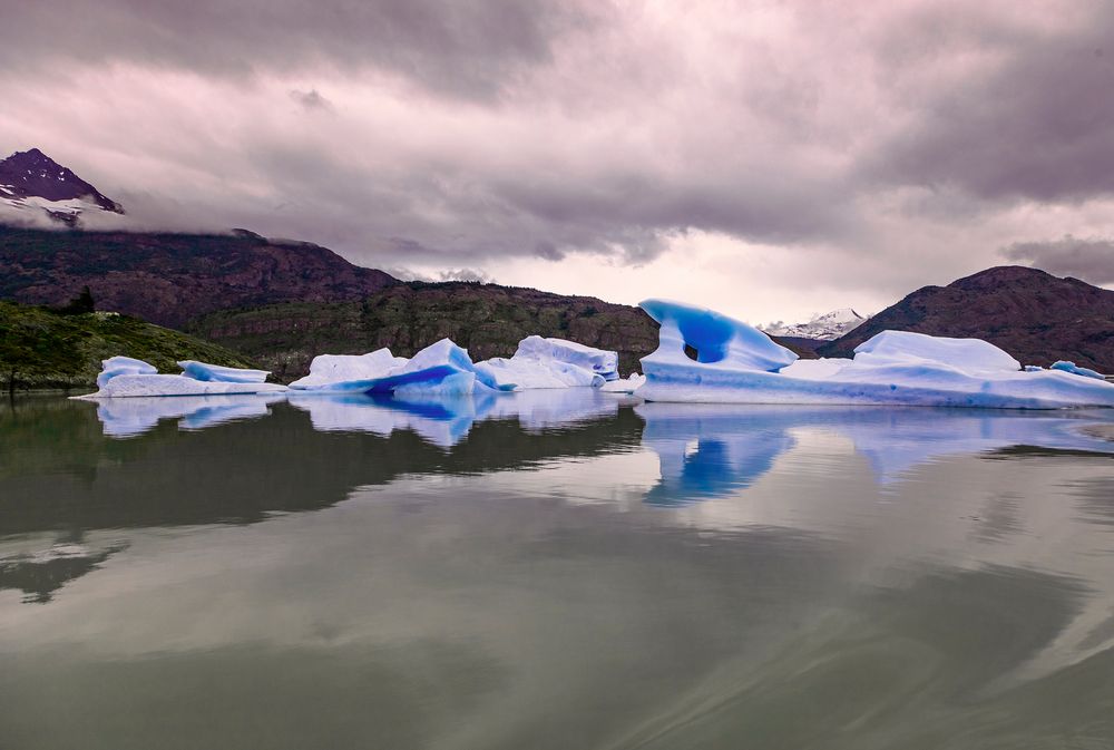 Lago Grey Eisberge