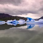 Lago Grey Eisberge