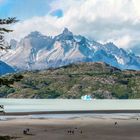 Lago Grey im NP Torres del Paine - Patagonien - Argentinien