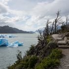 Lago Grey - Patagonien