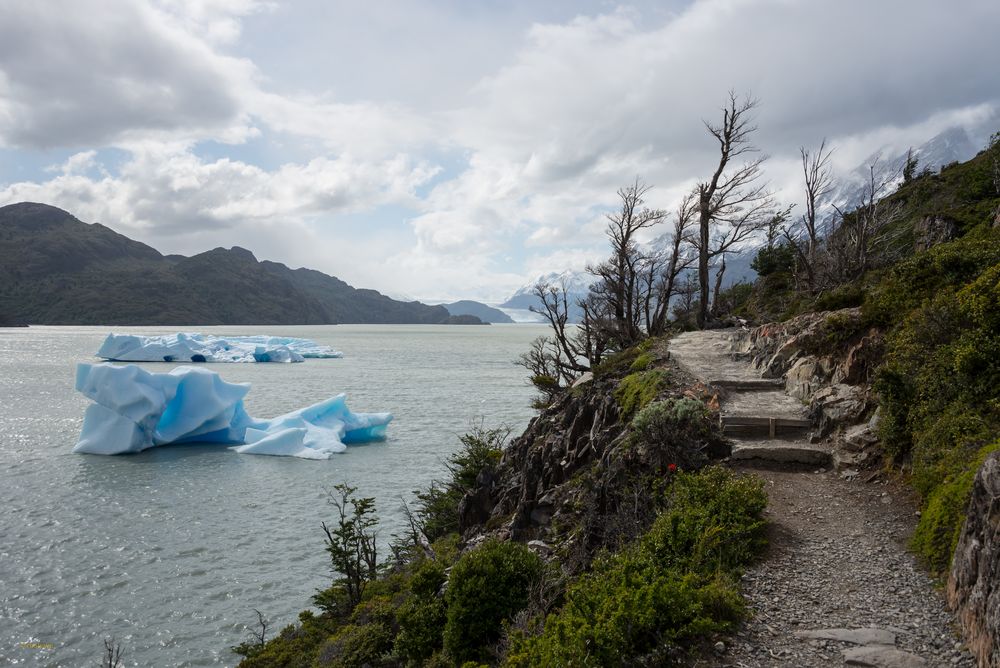 Lago Grey - Patagonien