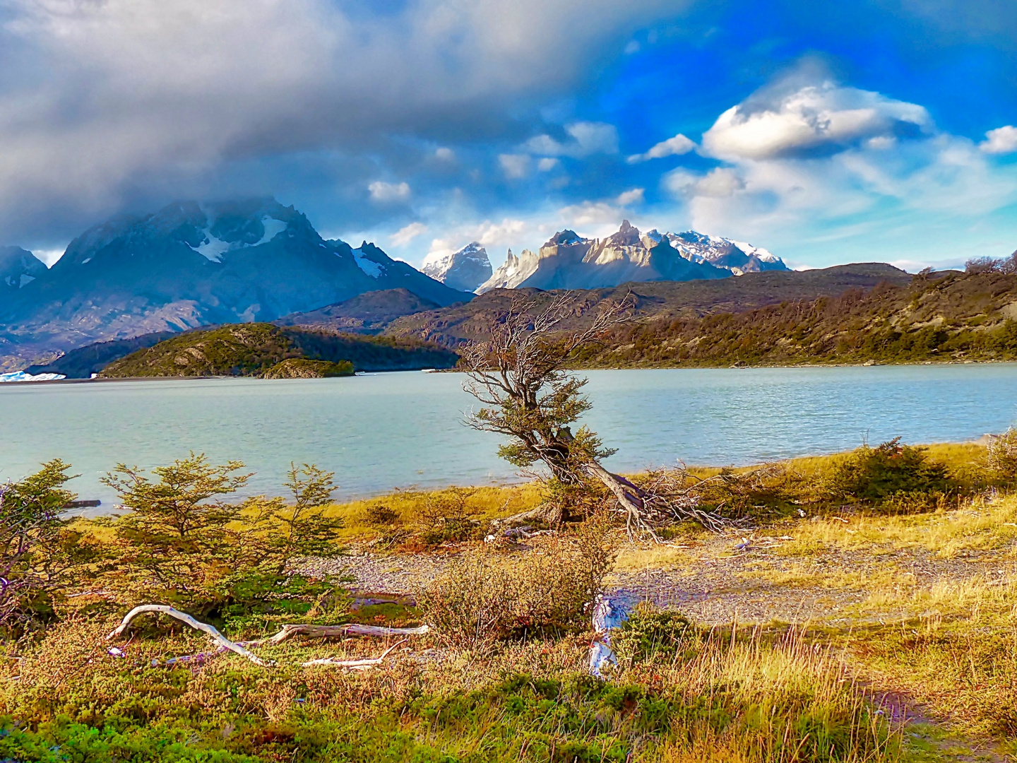 Lago Grey/Patagonien 