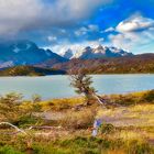 Lago Grey/Patagonien 