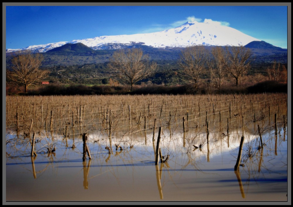 Lago Gurrida