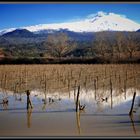 Lago Gurrida