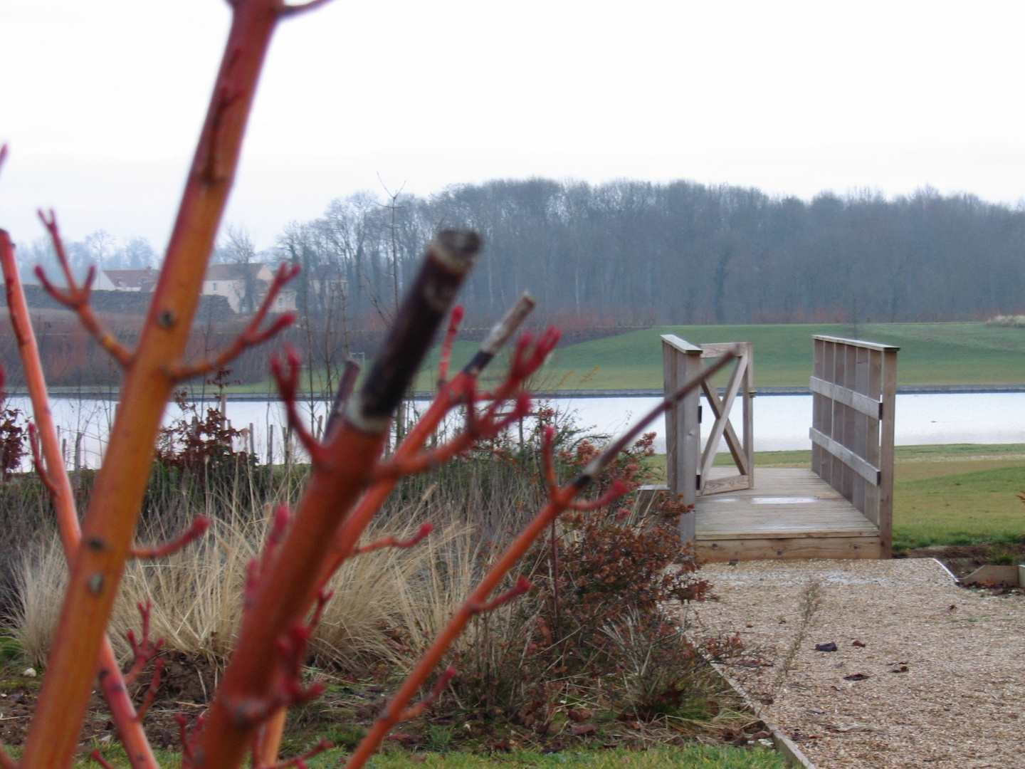 Lago in inverno