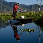 lago inle orti galleggianti