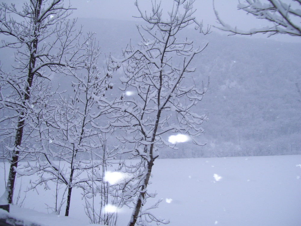 lago innevato