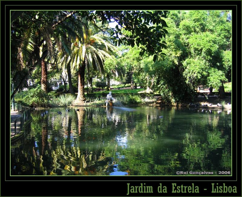 Lago - Jardim da Estrela - Lisboa