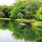 LAGO LA PRADERA DE DOSQUEBRADAS RISARALDA