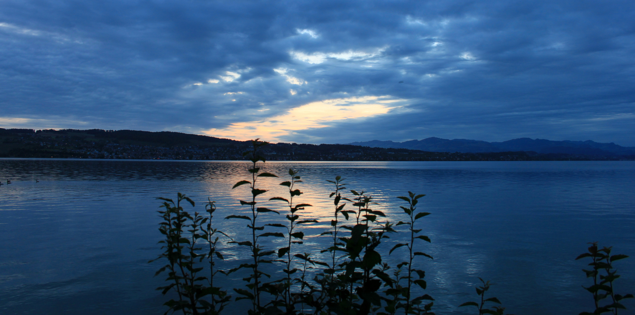 Lago / Lac / Zürichsee..01