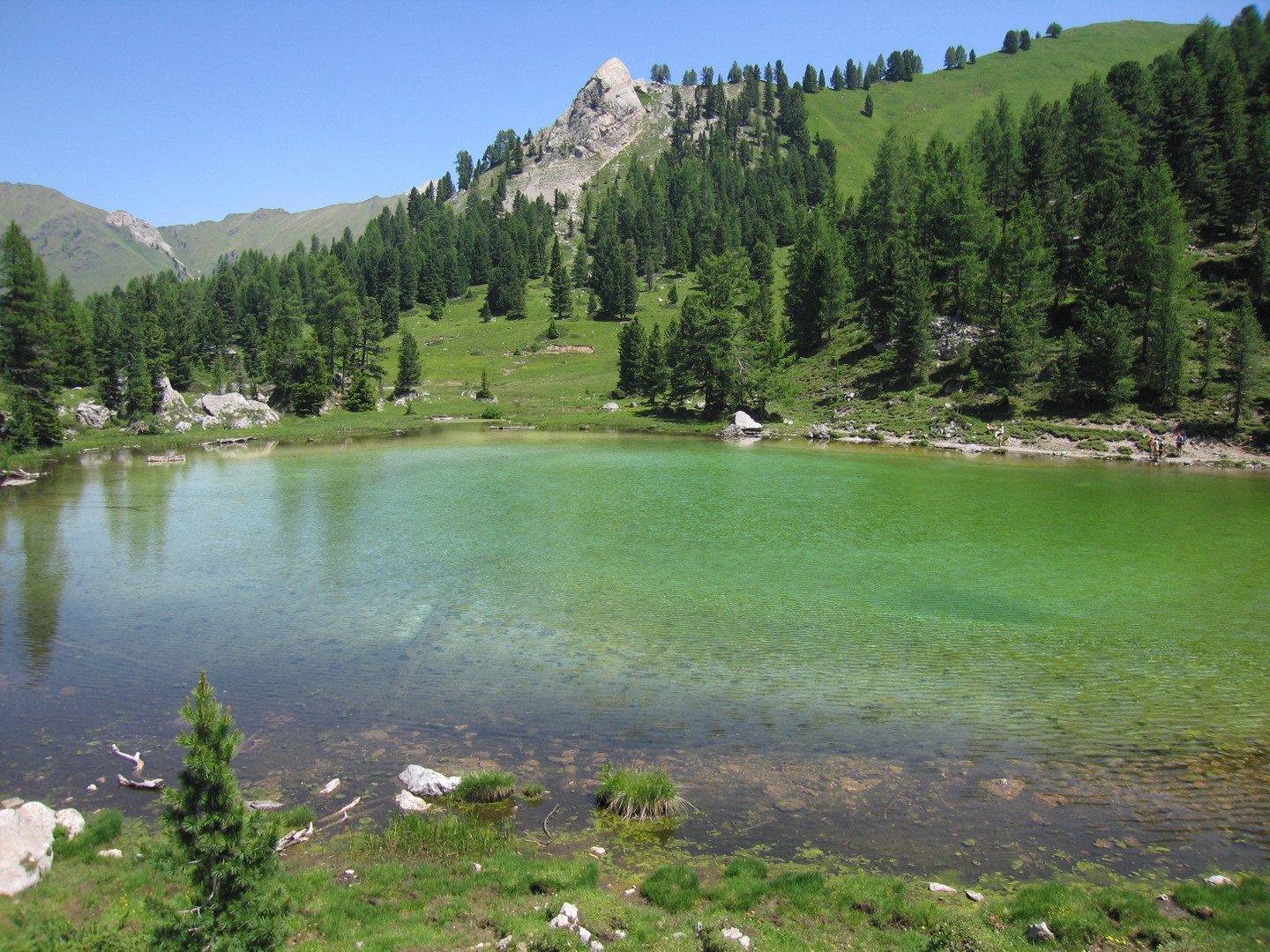 Lago Lauscel