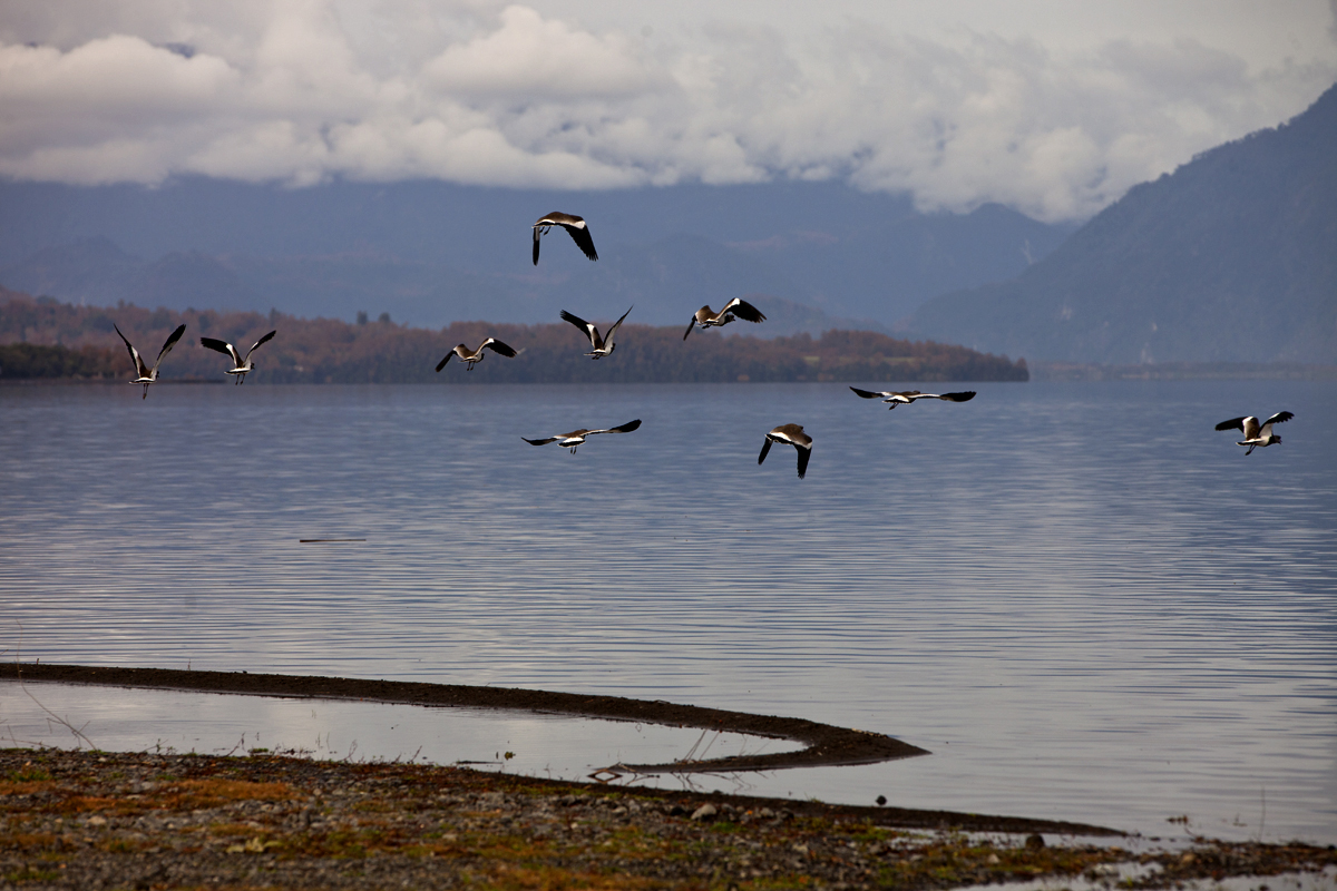 Lago Lican Ray, Chile