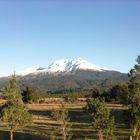 Lago Llanquihue, Sur de Chile, Volcanes Calbuco, y Osorno