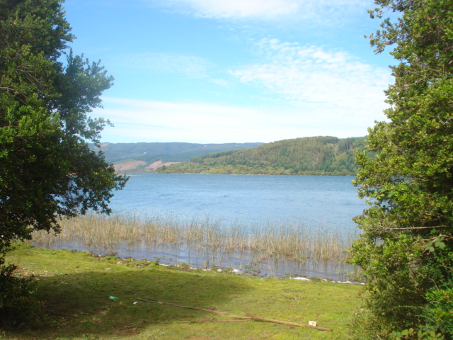 Lago Lleu-Lleu-de la Naciòn Mapuche