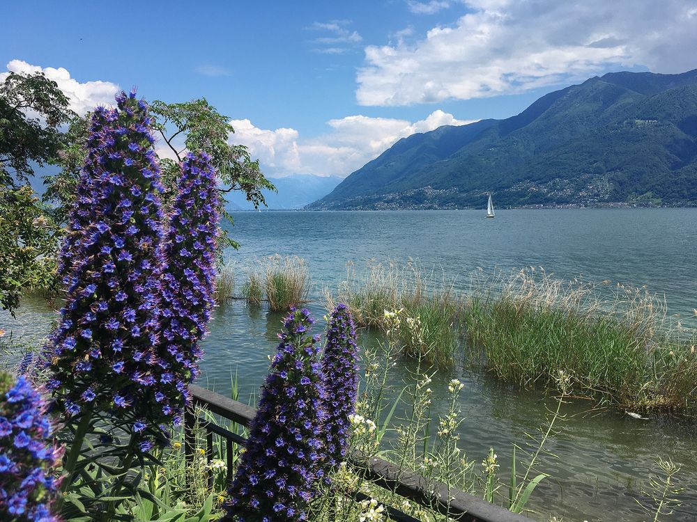 Lago Maggiore