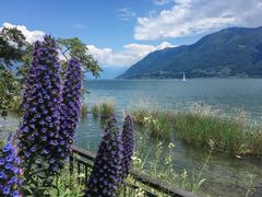 Lago Maggiore