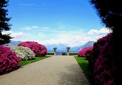 Lago Maggiore 3