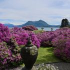 Lago Maggiore