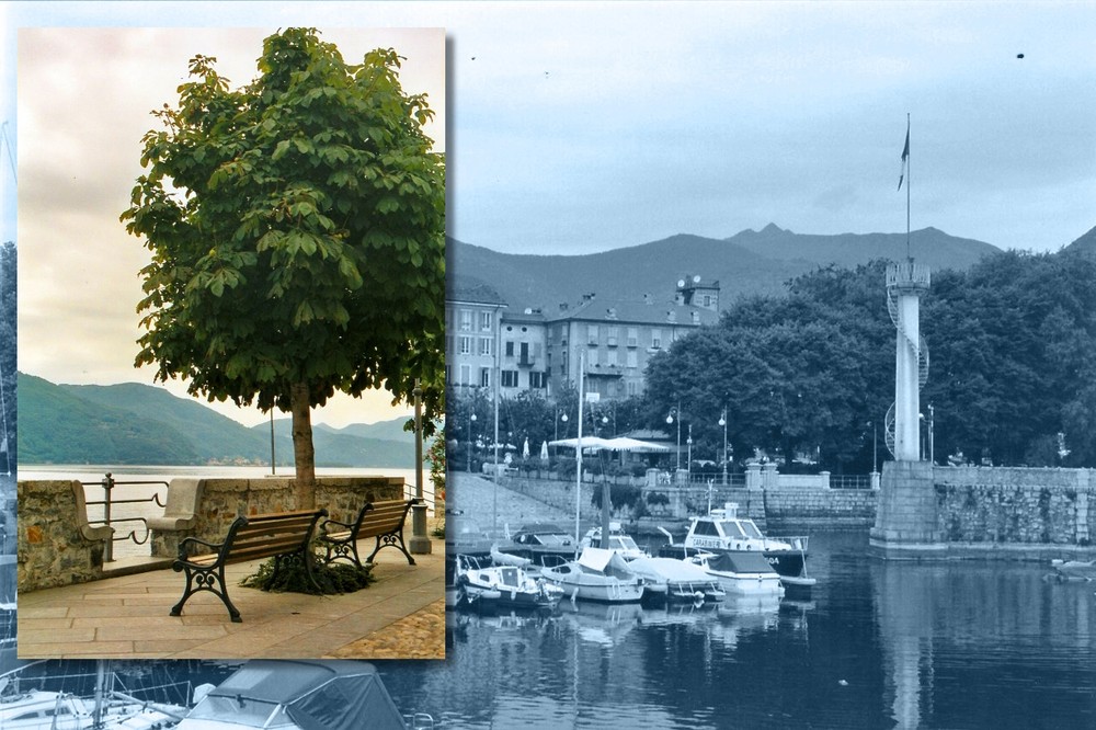 Lago Maggiore