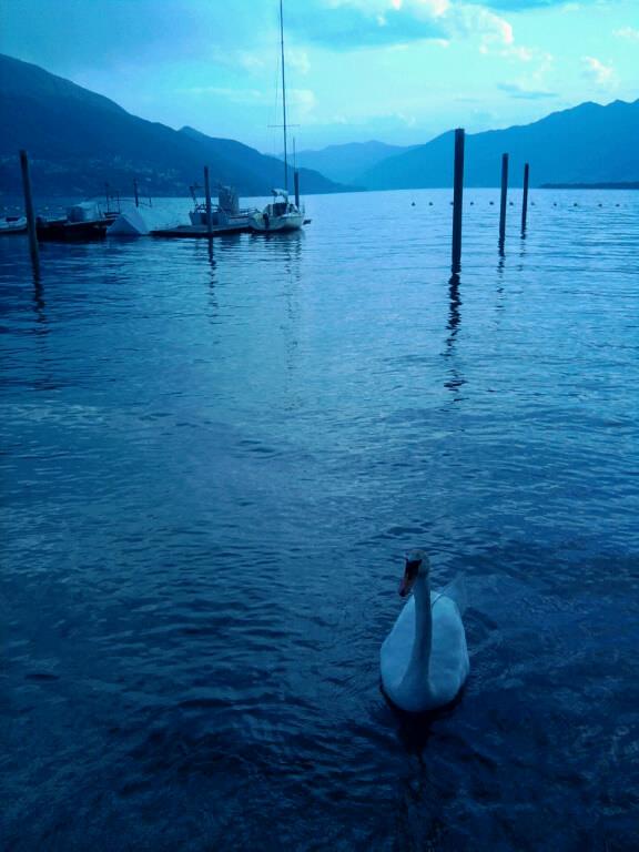 lago maggiore von Lariih 