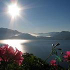 Lago Maggiore