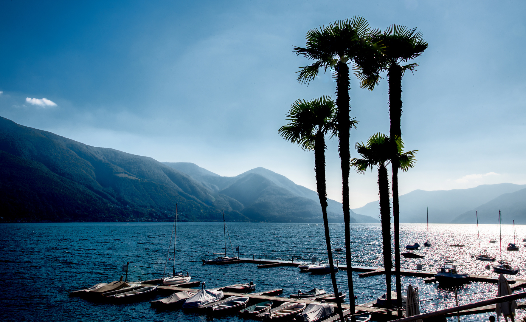 Lago Maggiore Bei Ascona Tessin Foto Bild Tour De Suisse World Bilder Auf Fotocommunity