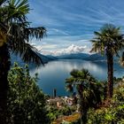 Lago Maggiore - Brissago -