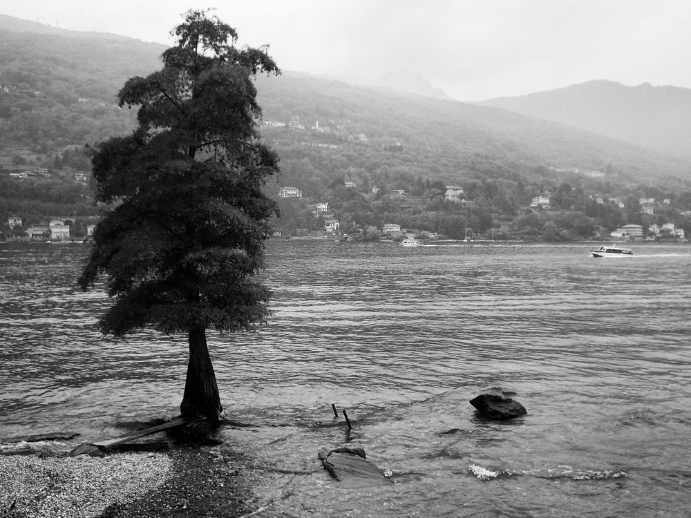 Lago Maggiore