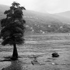 Lago Maggiore